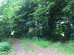 034_iP_210615_IMG_2609