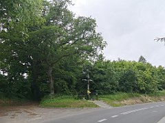 046_p20_IMG_20210615_094435