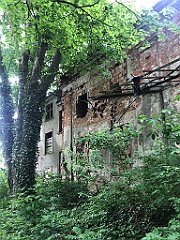 052_iP_210615_IMG_2620