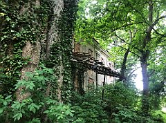 055_iP_210615_IMG_2623