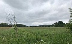 113_iP_210615_IMG_2644