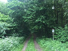 117_iP_210615_IMG_2647