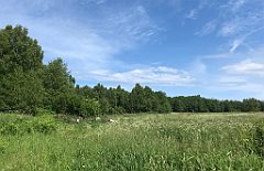 140_iP_210615_IMG_2669