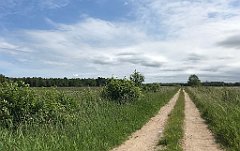 141_iP_210615_IMG_2670