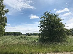 167_iP_210615_IMG_2686