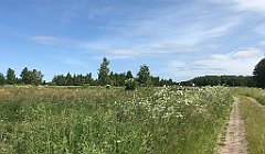 184_iP_210615_IMG_2694