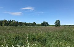 185_iP_210615_IMG_2695