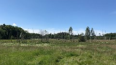 260_iP_210615_IMG_2702