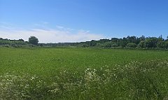 282_p20_IMG_20210615_133013