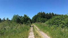 289_iP_210615_IMG_2717