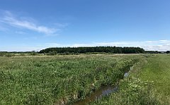 317_iP_210615_IMG_2728