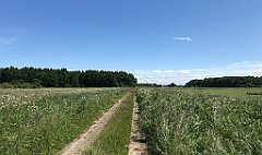 318_iP_210615_IMG_2731