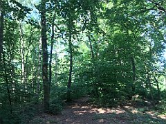 497_iP_210615_IMG_2767