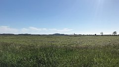 501_iP_210615_IMG_2772