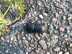 550_iP_210615_IMG_2789