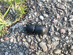 551_iP_210615_IMG_2790