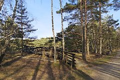 341_p20_IMG_20220213_134852