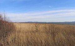 344_p20_IMG_20220213_134951