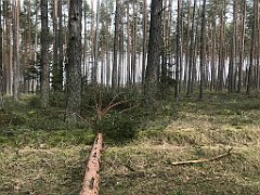 176_iP_220226_IMG_4052