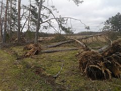 220_p20_IMG_20220226_121831