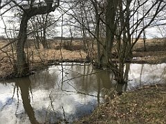 270_iP_220226_IMG_4081