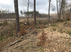 329_iP_220226_IMG_4092