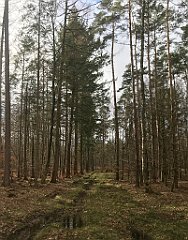 335_iP_220226_IMG_4095