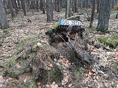 345_p20_IMG_20220226_142011