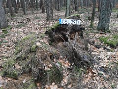 346_p20_IMG_20220226_142013