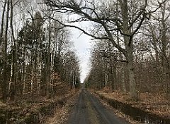 364_iP_220226_IMG_4097