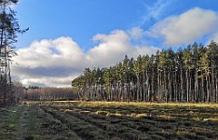 383_p20_IMG_20220226_152454