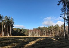 386_iP_220226_IMG_4110