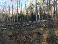 391_iP_220226_IMG_4119