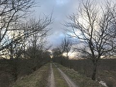 412_iP_220226_IMG_4129