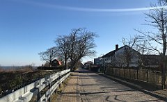 049_iP_220301_IMG_4203