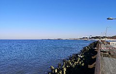 309_p20_IMG_20220301_130321