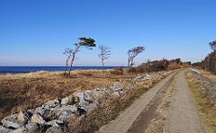 411_p20_IMG_20220301_141741