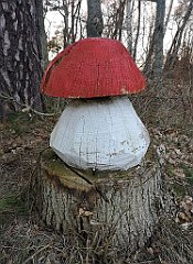 537_p20_IMG_20220301_165519