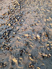 550_p20_IMG_20220301_170327