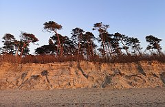 557_p20_IMG_20220301_171020