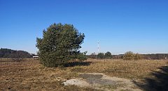 006_p20_IMG_20220313_081603