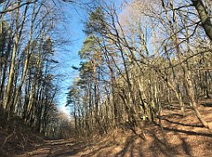 040_iP_220313_IMG_4520