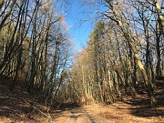 046_iP_220313_IMG_4522