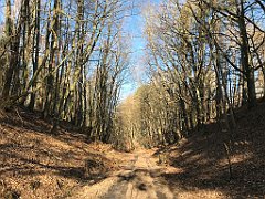 047_iP_220313_IMG_4523