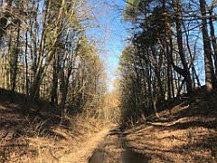 050_iP_220313_IMG_4525