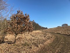 060_iP_220313_IMG_4532