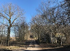 096_iP_220313_IMG_4548