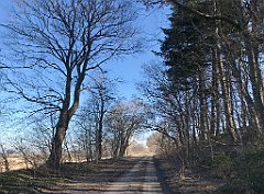 103_iP_220313_IMG_4552