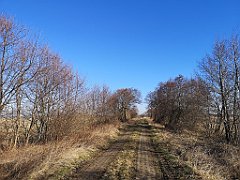 121_p20_IMG_20220313_094522