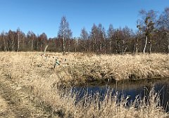 182_iP_220313_IMG_4577